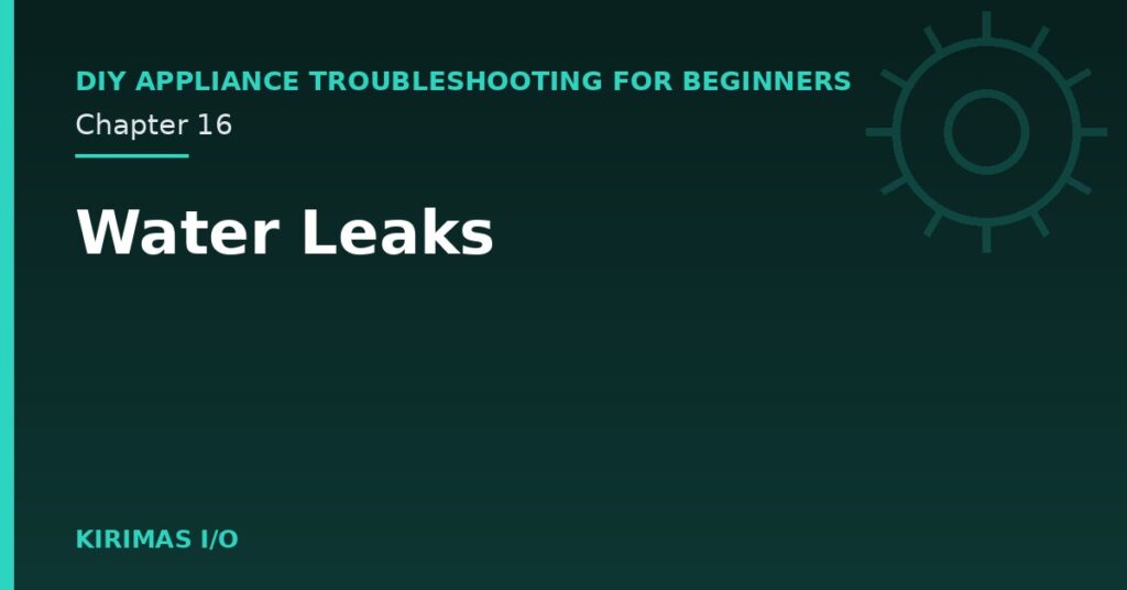 Water Leaks