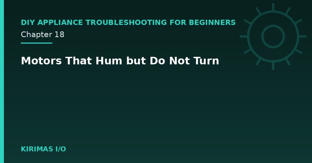 Motors That Hum but Do Not Turn