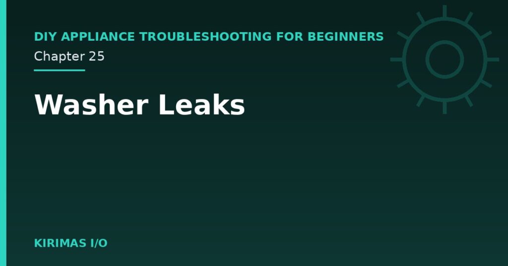 Washer Leaks
