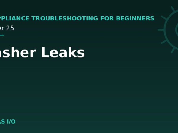 Washer Leaks